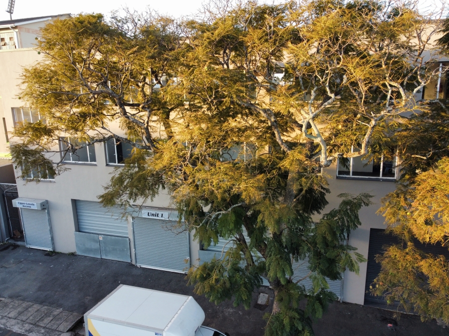 Commercial Property for Sale in Arcadia Eastern Cape